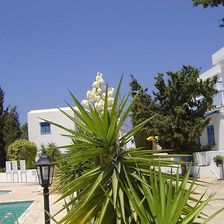 Ikaria Village Maisonette 12 Pafos Dış mekan fotoğraf