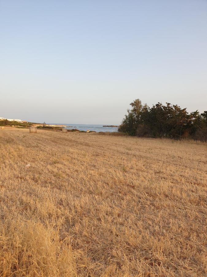 Ikaria Village Maisonette 12 Pafos Dış mekan fotoğraf